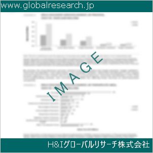 グローバルリサーチ調査資料のイメージ
